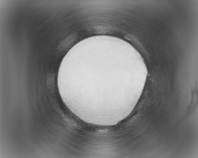 X0000063450066200602171910