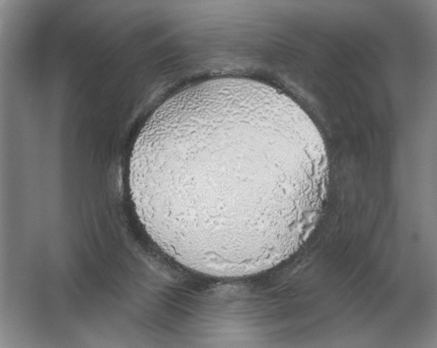 X0000063450067200602171910