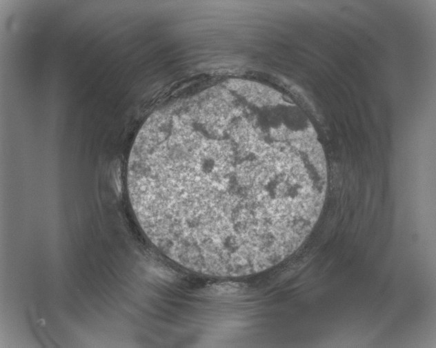 X0000063450069200602171910