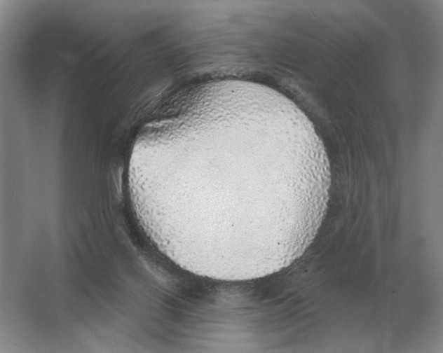 X0000063450070200602171910