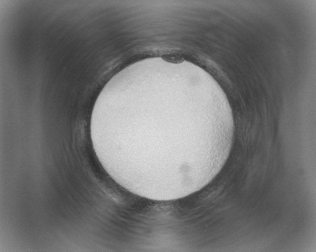 X0000063450071200602171910