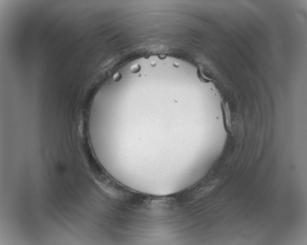 X0000063450072200602171910