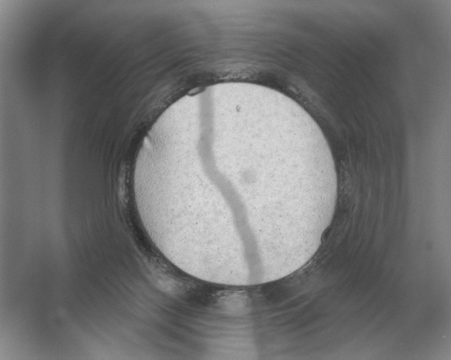 X0000063450074200602171910