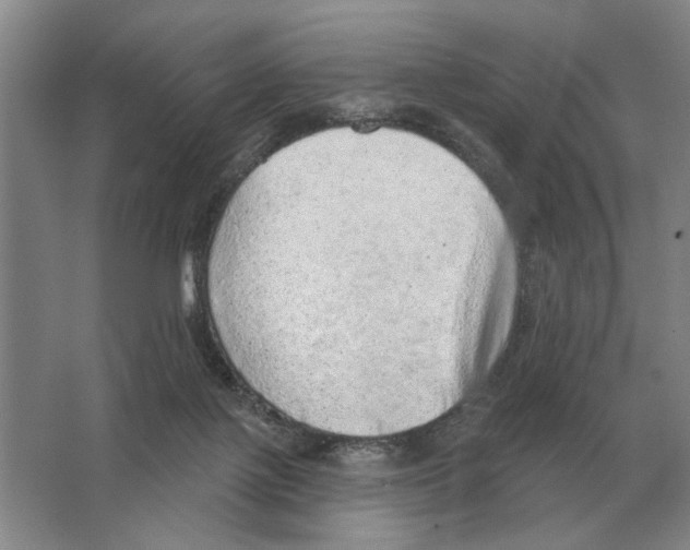 X0000063450075200602171910