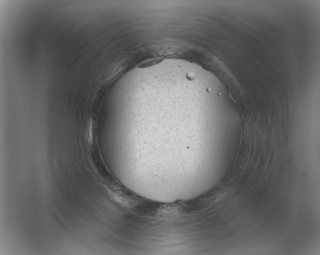 X0000063450076200602171910