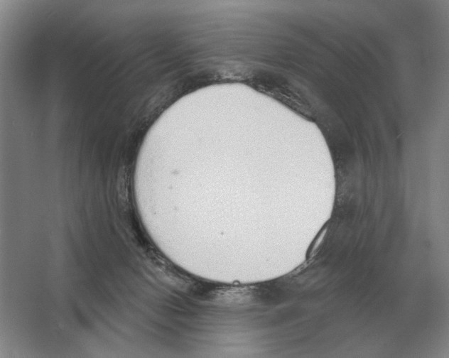 X0000063450078200602171910