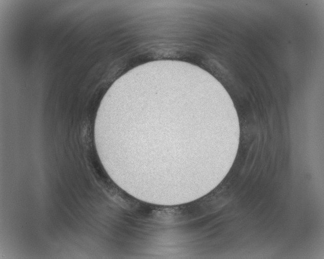 X0000063450079200602171910