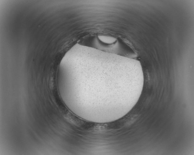 X0000063450080200602171910