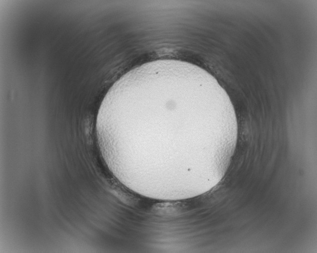 X0000063450082200602171910