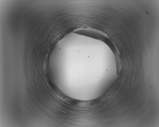 X0000063450084200602171910