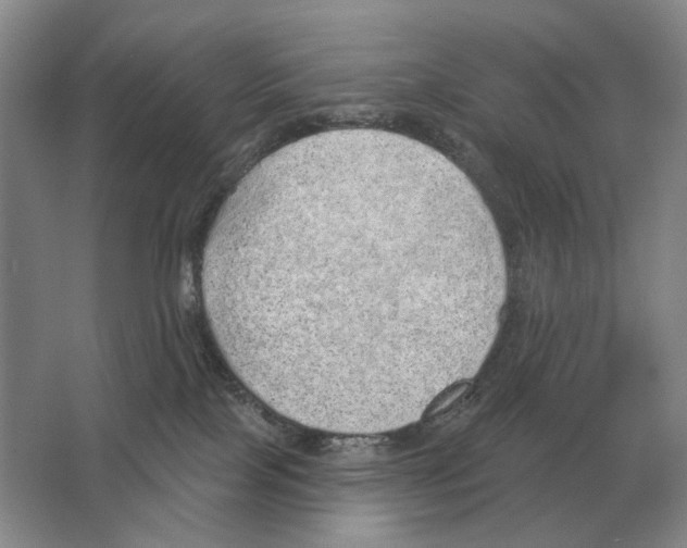 X0000063450089200602171910