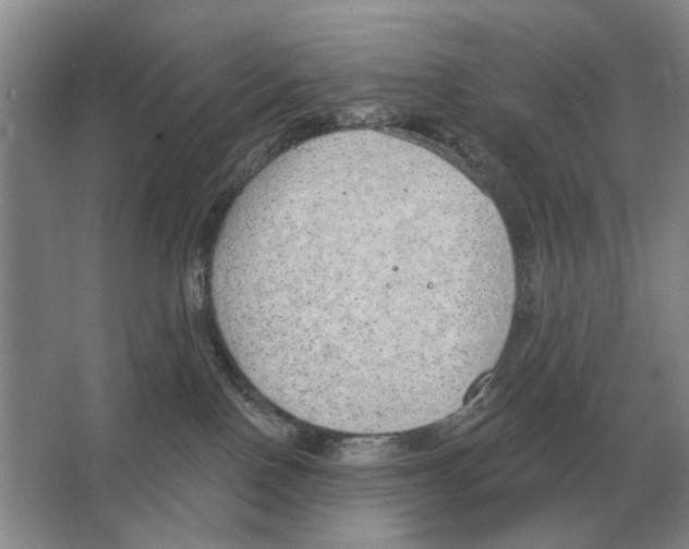 X0000063450090200602171910