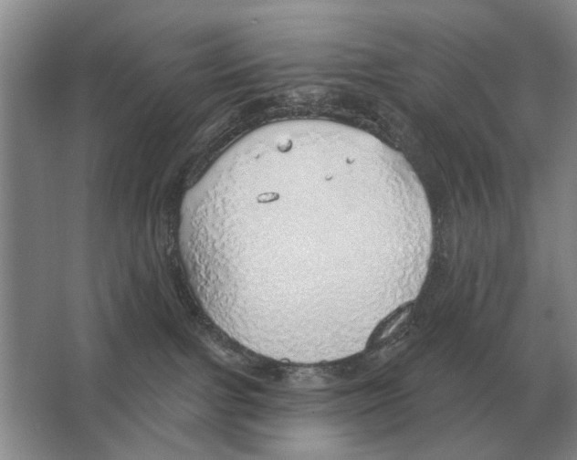 X0000063450091200602171910