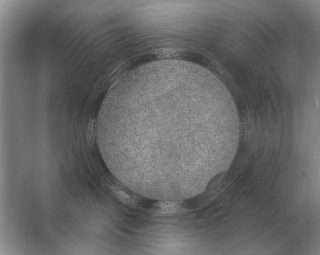 X0000063450093200602171910