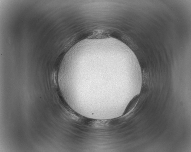 X0000063450094200602171910