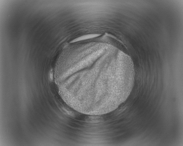 X0000063450095200602171910