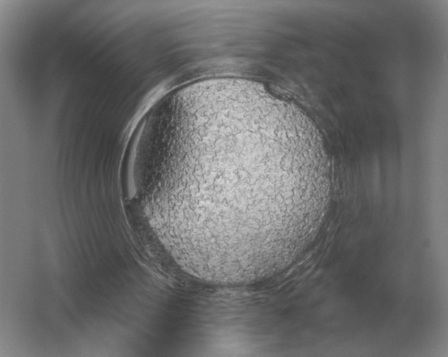 X0000063450099200602171909