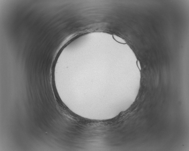 X0000063450100200602171909