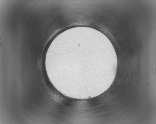 X0000063450108200602171909