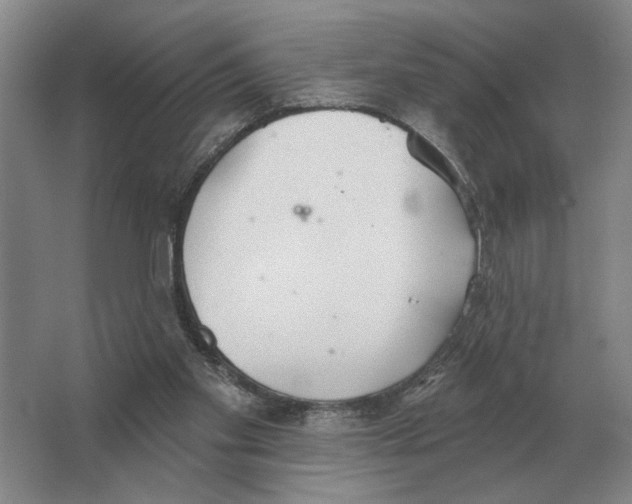 X0000063450109200602171909