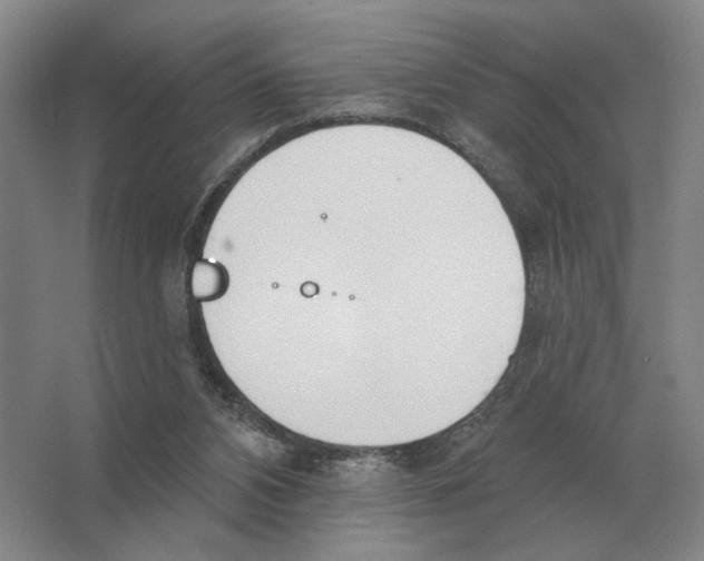 X0000063450112200602171909