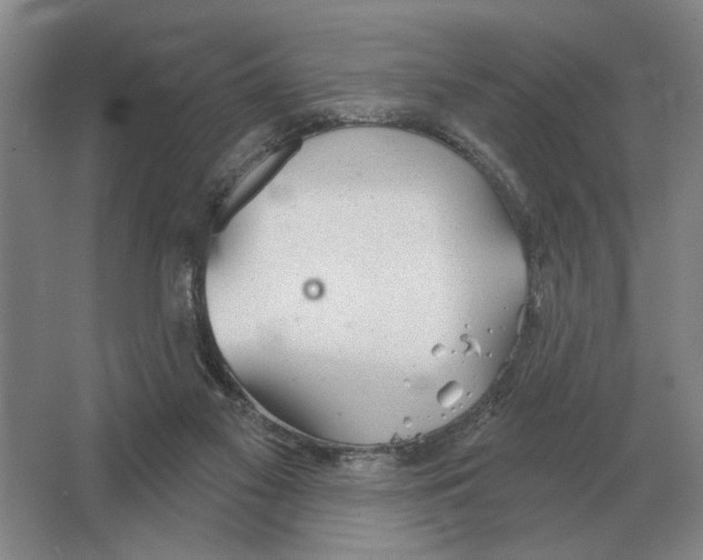 X0000063450117200602171909