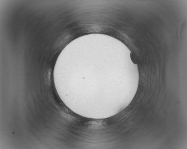 X0000063450118200602171909