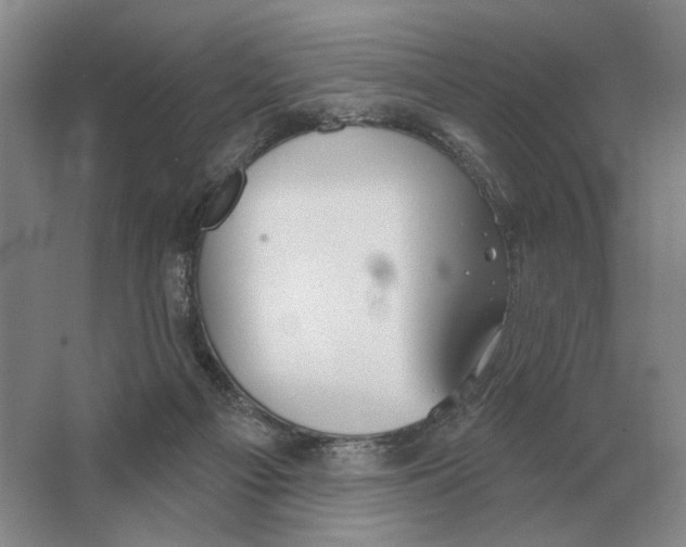 X0000063450121200602171909