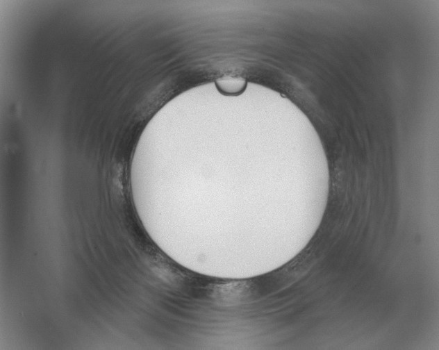 X0000063450122200602171909