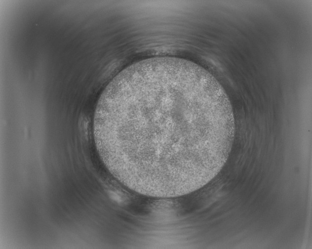 X0000063450123200602171909