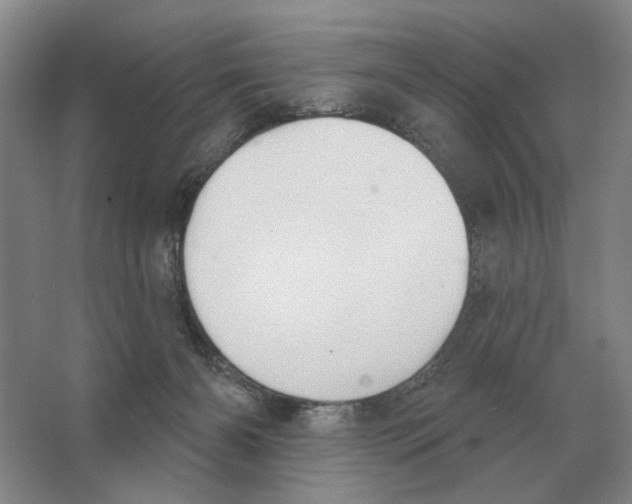 X0000063450126200602171909