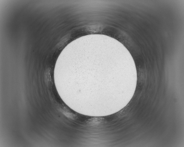 X0000063450128200602171909