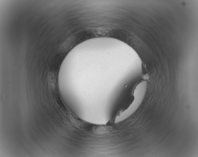 X0000063450129200602171909