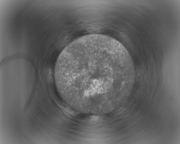 X0000063450130200602171909