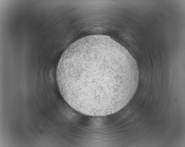 X0000063450131200602171909