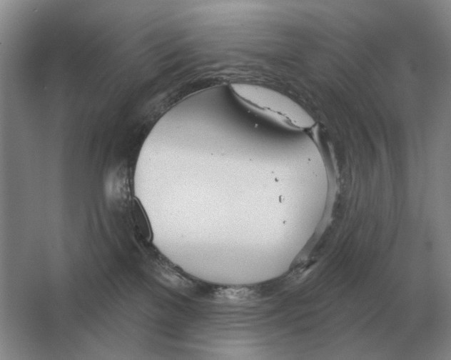 X0000063450137200602171908