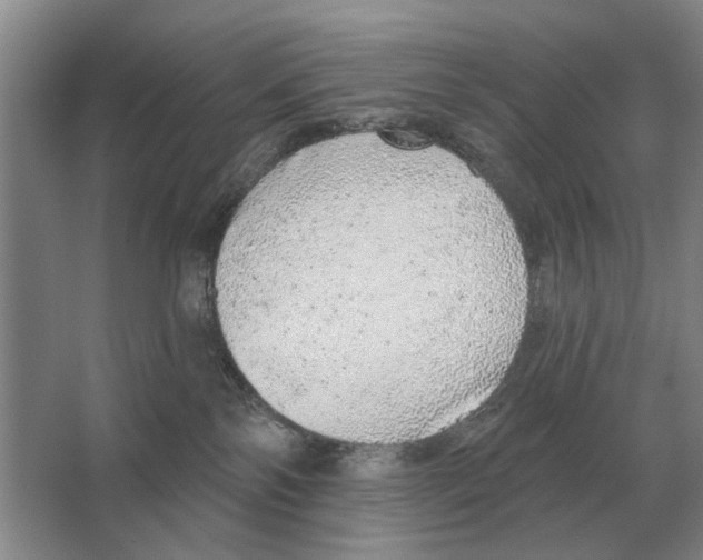 X0000063450138200602171908