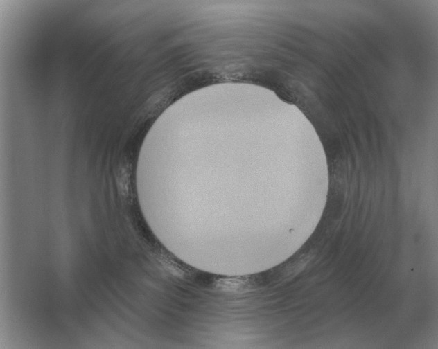 X0000063450139200602171908