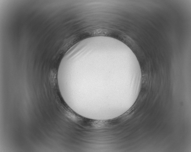 X0000063450142200602171908