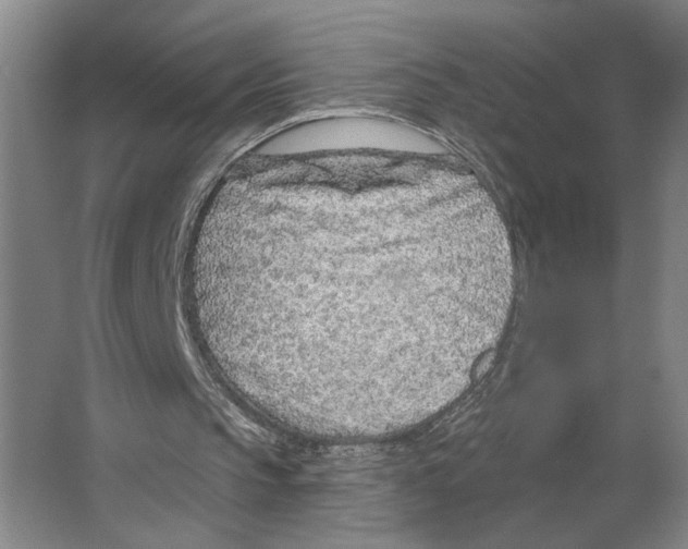 X0000063450145200602171907