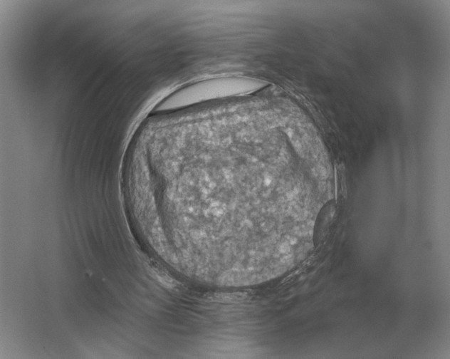 X0000063450147200602171908