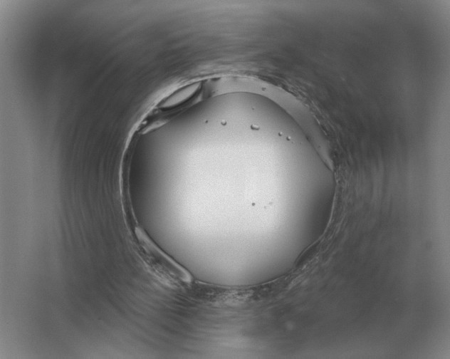 X0000063450148200602171908