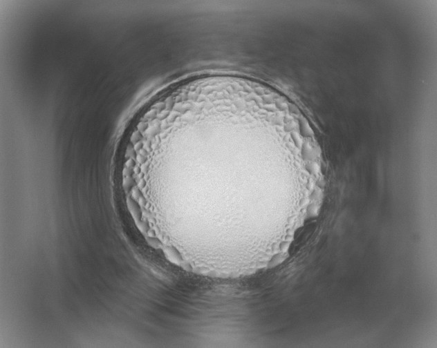 X0000063450151200602171908