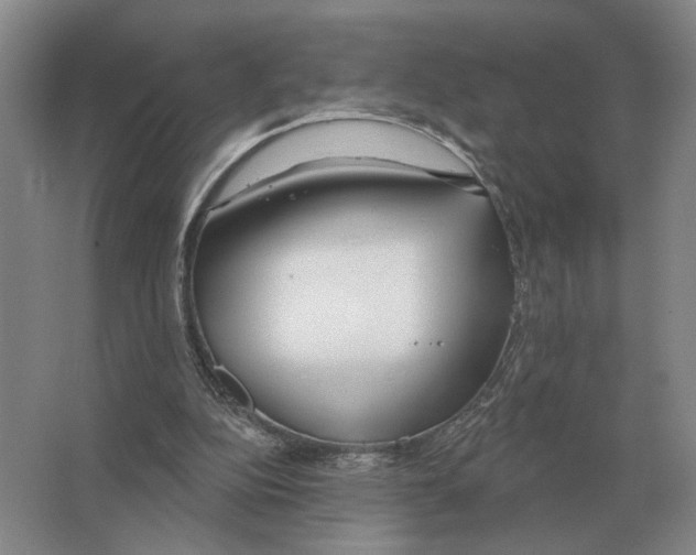 X0000063450152200602171908