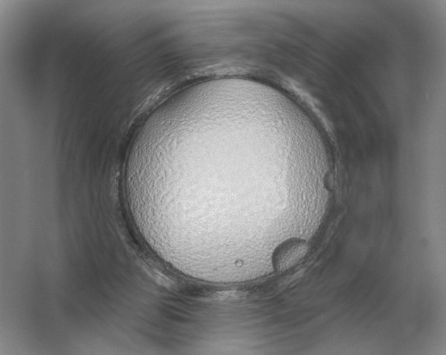 X0000063450153200602171908