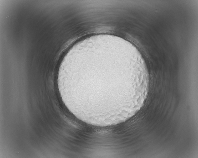 X0000063450155200602171908