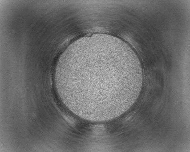 X0000063450157200602171908