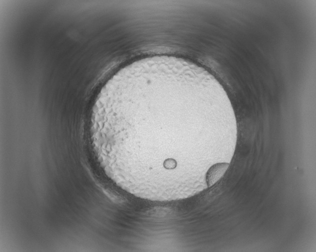 X0000063450159200602171908