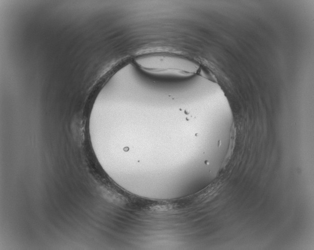 X0000063450160200602171908