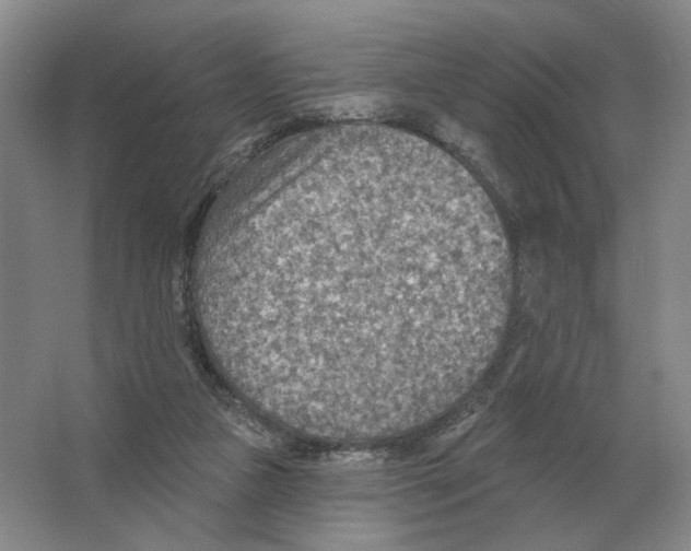 X0000063450161200602171908